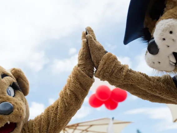 wilma and wilbur high fiving