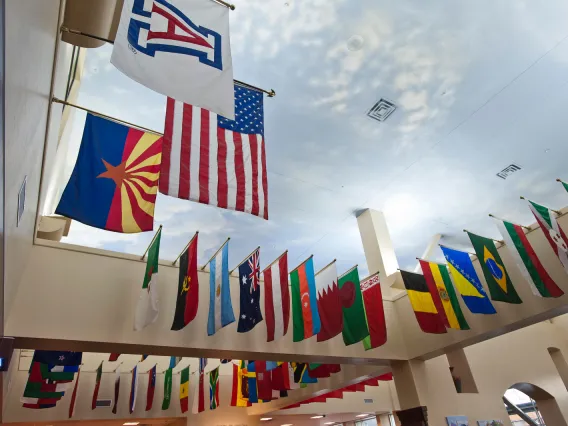 hanging flags