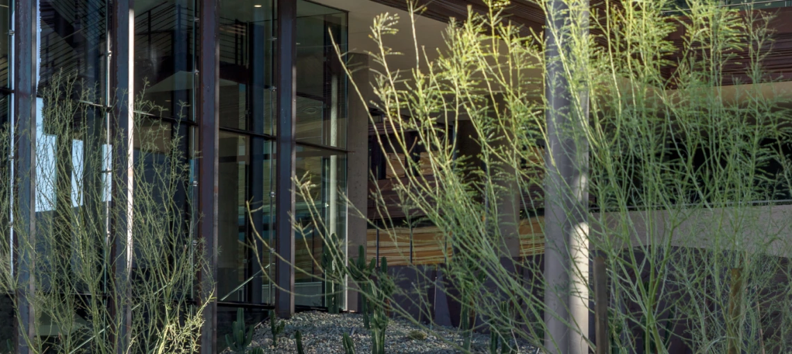 Exterior of the courtyard of the Biomedical partnership building.